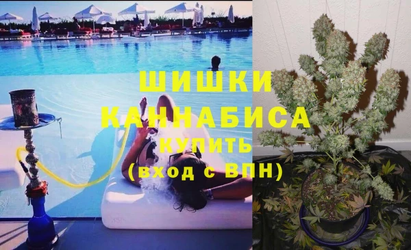 спайс Белокуриха